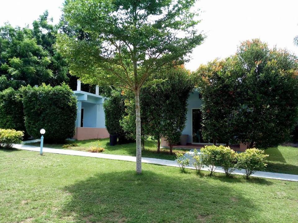 Atmyhomestay Bangsaphan سابان بانغ المظهر الخارجي الصورة